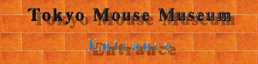 Tokyo Mouse Museum