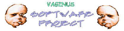 VAGINUS SOFTWARE PROJECT