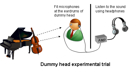 Dummy head experimental trial