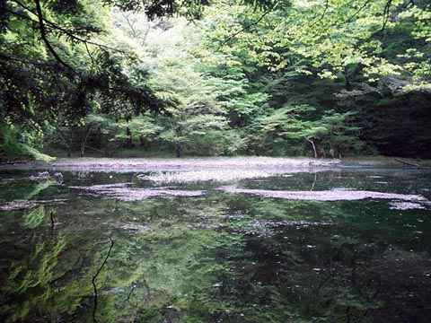 Shianuda Pond