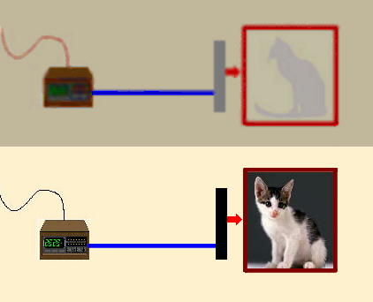 シュレーディンガーの猫の実験