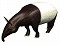 asian tapir
